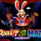 Rabbit In The Hat